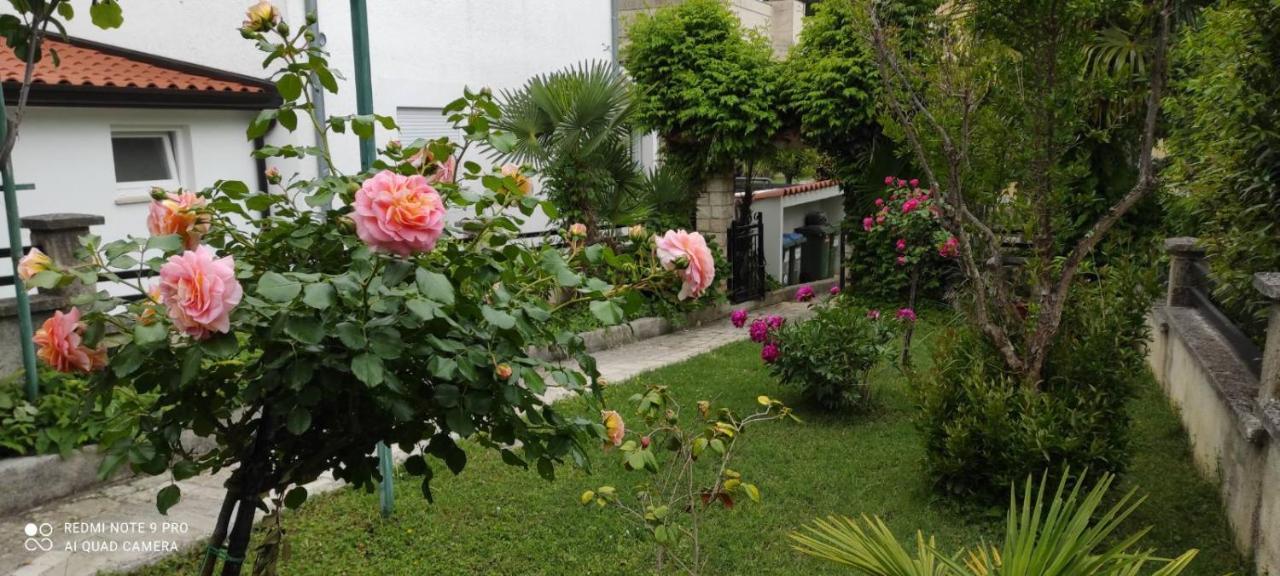 פורץ Apartment Jozefina מראה חיצוני תמונה