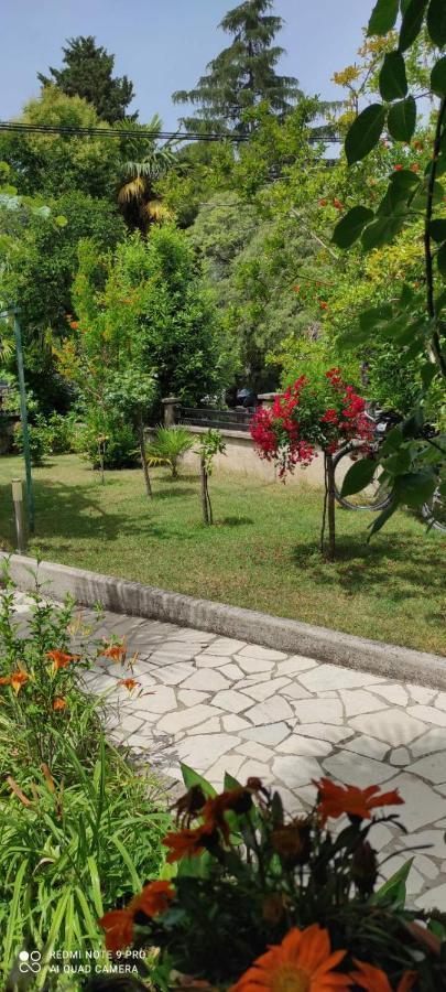 פורץ Apartment Jozefina מראה חיצוני תמונה
