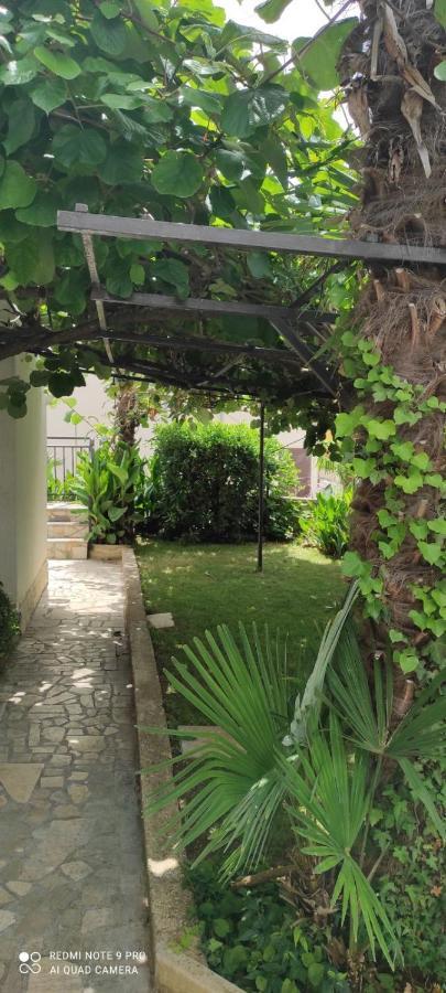 פורץ Apartment Jozefina מראה חיצוני תמונה