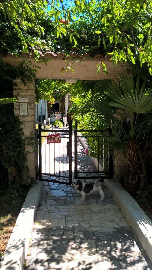 פורץ Apartment Jozefina מראה חיצוני תמונה