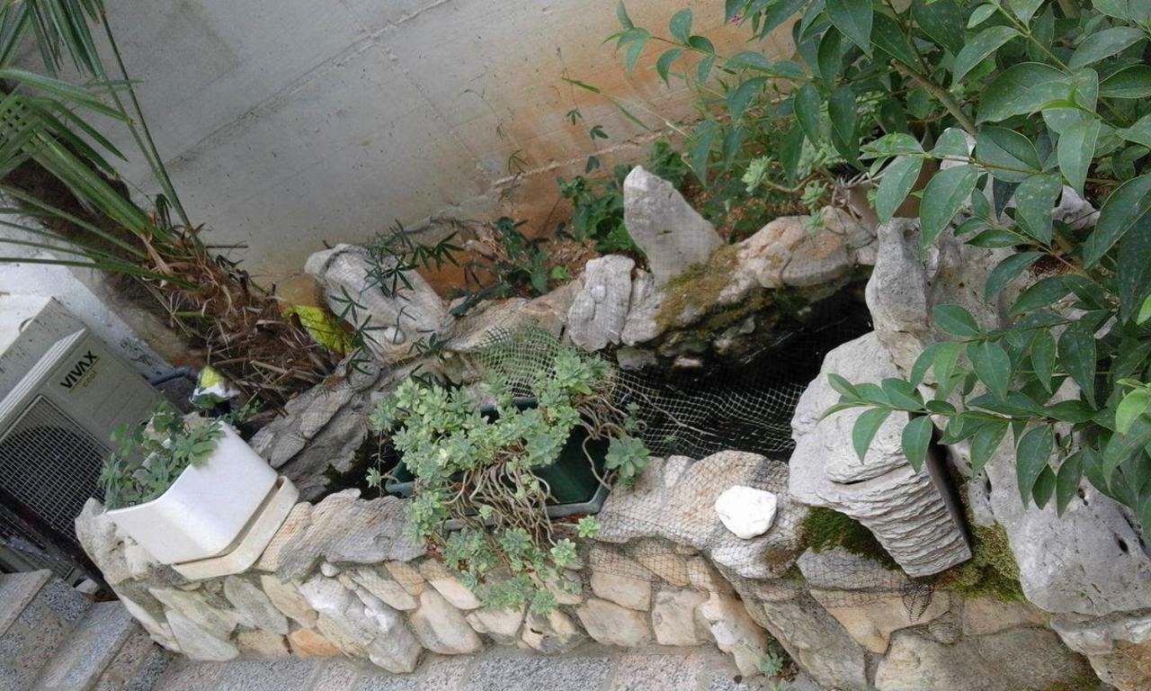 פורץ Apartment Jozefina מראה חיצוני תמונה