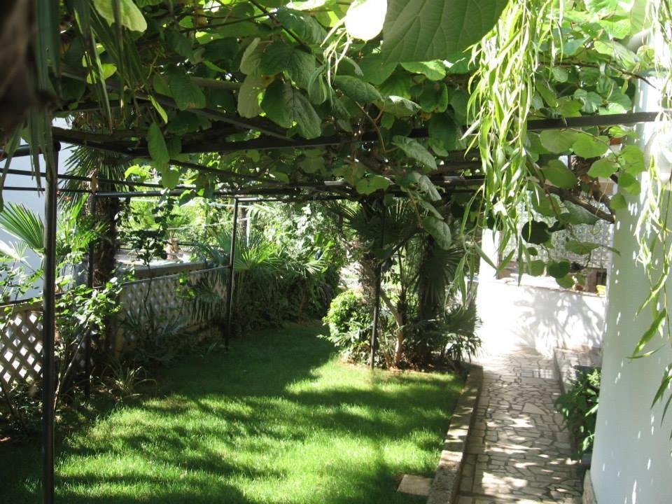 פורץ Apartment Jozefina מראה חיצוני תמונה